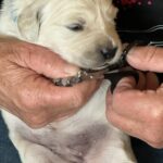 Frenkie VlinderIMG_3993 (1)