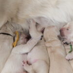 059C5233-958F-415B-A6AA-7CBF390F8A1D