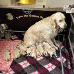 620CE9B3-1757-4628-A958-115015FE671E