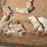 EAF143BA-436C-481B-95B8-53F738DE6555